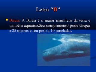 Letra “B”
   Baleia: A Baleia é o maior mamífero da terra e
    também aquático.Seu comprimento pode chegar
    a 25 metros e seu peso a 10 toneladas.
 