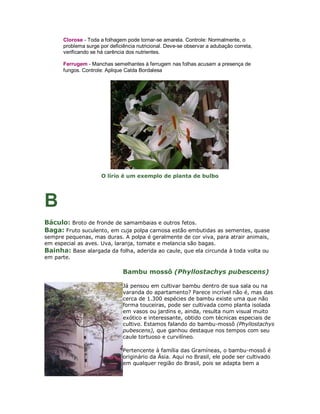 Clorose - Toda a folhagem pode tornar-se amarela. Controle: Normalmente, o
      problema surge por deficiência nutricional. Deve-se observar a adubação correta,
      verificando se há carência dos nutrientes.

      Ferrugem - Manchas semelhantes à ferrugem nas folhas acusam a presença de
      fungos. Controle: Aplique Calda Bordalesa




                      O lírio é um exemplo de planta de bulbo




B
Báculo: Broto de fronde de samambaias e outros fetos.
Baga: Fruto suculento, em cuja polpa carnosa estão embutidas as sementes, quase
sempre pequenas, mas duras. A polpa é geralmente de cor viva, para atrair animais,
em especial as aves. Uva, laranja, tomate e melancia são bagas.
Bainha: Base alargada da folha, aderida ao caule, que ela circunda à toda volta ou
em parte.

                               Bambu mossô (Phyllostachys pubescens)

                               Já pensou em cultivar bambu dentro de sua sala ou na
                               varanda do apartamento? Parece incrível não é, mas das
                               cerca de 1.300 espécies de bambu existe uma que não
                               forma touceiras, pode ser cultivada como planta isolada
                               em vasos ou jardins e, ainda, resulta num visual muito
                               exótico e interessante, obtido com técnicas especiais de
                               cultivo. Estamos falando do bambu-mossô (Phyllostachys
                               pubescens), que ganhou destaque nos tempos com seu
                               caule tortuoso e curvilíneo.

                               Pertencente à família das Gramíneas, o bambu-mossô é
                               originário da Ásia. Aqui no Brasil, ele pode ser cultivado
                               em qualquer região do Brasil, pois se adapta bem a
 