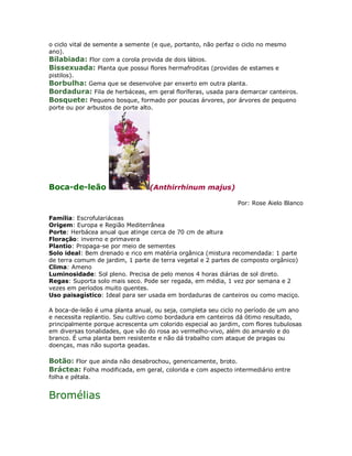 o ciclo vital de semente a semente (e que, portanto, não perfaz o ciclo no mesmo
ano).
Bilabiada: Flor com a corola provida de dois lábios.
Bissexuada: Planta que possui flores hermafroditas (providas de estames e
pistilos).
Borbulha: Gema que se desenvolve par enxerto em outra planta.
Bordadura: Fila de herbáceas, em geral floríferas, usada para demarcar canteiros.
Bosquete: Pequeno bosque, formado por poucas árvores, por árvores de pequeno
porte ou por arbustos de porte alto.




Boca-de-leão                     (Anthirrhinum majus)

                                                               Por: Rose Aielo Blanco

Família: Escrofulariáceas
Origem: Europa e Região Mediterrânea
Porte: Herbácea anual que atinge cerca de 70 cm de altura
Floração: inverno e primavera
Plantio: Propaga-se por meio de sementes
Solo ideal: Bem drenado e rico em matéria orgânica (mistura recomendada: 1 parte
de terra comum de jardim, 1 parte de terra vegetal e 2 partes de composto orgânico)
Clima: Ameno
Luminosidade: Sol pleno. Precisa de pelo menos 4 horas diárias de sol direto.
Regas: Suporta solo mais seco. Pode ser regada, em média, 1 vez por semana e 2
vezes em períodos muito quentes.
Uso paisagístico: Ideal para ser usada em bordaduras de canteiros ou como maciço.

A boca-de-leão é uma planta anual, ou seja, completa seu ciclo no período de um ano
e necessita replantio. Seu cultivo como bordadura em canteiros dá ótimo resultado,
principalmente porque acrescenta um colorido especial ao jardim, com flores tubulosas
em diversas tonalidades, que vão do rosa ao vermelho-vivo, além do amarelo e do
branco. É uma planta bem resistente e não dá trabalho com ataque de pragas ou
doenças, mas não suporta geadas.

Botão: Flor que ainda não desabrochou, genericamente, broto.
Bráctea: Folha modificada, em geral, colorida e com aspecto intermediário entre
folha e pétala.


Bromélias
 
