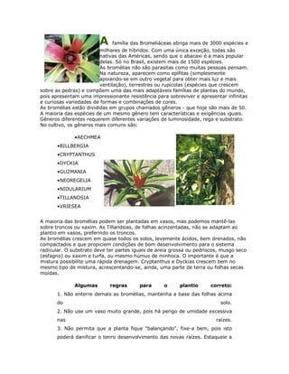 A     família das Bromeliáceas abriga mais de 3000 espécies e
                         milhares de híbridos. Com uma única exceção, todas são
                         nativas das Américas, sendo que o abacaxi é a mais popular
                         delas. Só no Brasil, existem mais de 1500 espécies.
                         As bromélias não são parasitas como muitas pessoas pensam.
                         Na natureza, aparecem como epífitas (simplesmente
                         apoiando-se em outro vegetal para obter mais luz e mais
                         ventilação), terrestres ou rupícolas (espécies que crescem
sobre as pedras) e compõem uma das mais adaptáveis famílias de plantas do mundo,
pois apresentam uma impressionante resistência para sobreviver e apresentar infinitas
e curiosas variedades de formas e combinações de cores.
As bromélias estão divididas em grupos chamados gêneros - que hoje são mais de 50.
A maioria das espécies de um mesmo gênero tem características e exigências iguais.
Gêneros diferentes requerem diferentes variações de luminosidade, rega e substrato.
No cultivo, os gêneros mais comuns são:

              •AECHMEA
       •BILLBERGIA
       •CRYPTANTHUS
       •DYCKIA
       •GUZMANIA
       •NEOREGELIA
       •NIDULARIUM
       •TILLANDSIA
       •VRIESEA


A maioria das bromélias podem ser plantadas em vasos, mas podemos mantê-las
sobre troncos ou xaxim. As Tillandsias, de folhas acinzentadas, não se adaptam ao
plantio em vasos, preferindo os troncos.
As bromélias crescem em quase todos os solos, levemente ácidos, bem drenados, não
compactados e que propiciem condições de bom desenvolvimento para o sistema
radicular. O substrato deve ter partes iguais de areia grossa ou pedriscos, musgo seco
(esfagno) ou xaxim e turfa, ou mesmo húmus de minhoca. O importante é que a
mistura possibilite uma rápida drenagem. Cryptanthus e Dyckias crescem bem no
mesmo tipo de mistura, acrescentando-se, ainda, uma parte de terra ou folhas secas
moídas.

              Algumas        regras      para      o      plantio      correto:
       1. Não enterre demais as bromélias, mantenha a base das folhas acima
       do                                                                  solo.
       2. Não use um vaso muito grande, pois há perigo de umidade excessiva
       nas                                                               raízes.
       3. Não permita que a planta fique "balançando", fixe-a bem, pois isto
       poderá danificar o tenro desenvolvimento das novas raízes. Estaqueie a
 