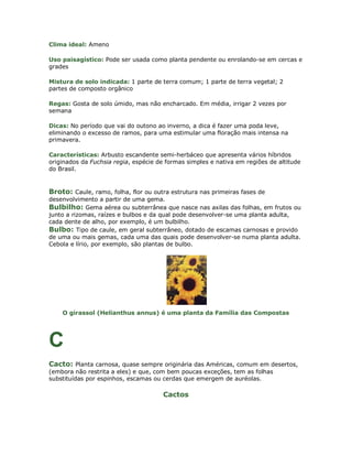Clima ideal: Ameno

Uso paisagístico: Pode ser usada como planta pendente ou enrolando-se em cercas e
grades

Mistura de solo indicada: 1 parte de terra comum; 1 parte de terra vegetal; 2
partes de composto orgânico

Regas: Gosta de solo úmido, mas não encharcado. Em média, irrigar 2 vezes por
semana

Dicas: No período que vai do outono ao inverno, a dica é fazer uma poda leve,
eliminando o excesso de ramos, para uma estimular uma floração mais intensa na
primavera.

Características: Arbusto escandente semi-herbáceo que apresenta vários híbridos
originados da Fuchsia regia, espécie de formas simples e nativa em regiões de altitude
do Brasil.


Broto: Caule, ramo, folha, flor ou outra estrutura nas primeiras fases de
desenvolvimento a partir de uma gema.
Bulbilho: Gema aérea ou subterrânea que nasce nas axilas das folhas, em frutos ou
junto a rizomas, raízes e bulbos e da qual pode desenvolver-se uma planta adulta,
cada dente de alho, por exemplo, é um bulbilho.
Bulbo: Tipo de caule, em geral subterrâneo, dotado de escamas carnosas e provido
de uma ou mais gemas, cada uma das quais pode desenvolver-se numa planta adulta.
Cebola e lírio, por exemplo, são plantas de bulbo.




    O girassol (Helianthus annus) é uma planta da Família das Compostas




C
Cacto: Planta carnosa, quase sempre originária das Américas, comum em desertos,
(embora não restrita a eles) e que, com bem poucas exceções, tem as folhas
substituídas por espinhos, escamas ou cerdas que emergem de auréolas.

                                       Cactos
 