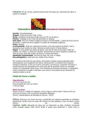 Calcário: Pó de rochas, predominantemente formadas por carbonato de cálcio, e
usado na calagem.




      Calceolária                        (Calceolaria herbeohybrida)

Família: Escrofulariáceas
Origem: América do Sul, Chile e Peru
Porte: Herbácea anual que atinge cerca de 30 cm de altura
Plantio: Propaga-se por meio de sementes ou estacas
Solo ideal: Rico em matéria orgânica (mistura recomendada: 1 parte de terra comum
de jardim, 1 parte de terra vegetal e 2 partes de composto orgânico)
Clima: Ameno
Luminosidade: Pode ser cultivada à sombra, pois não suporta sol direto, mas é
necessário que receba luz solar indireta por pelo menos 3 horas diárias.
Regas: É uma planta que gosta de água, mas não de solo encharcado. Pode ser
regada, em média, 2 vezes por semana. Recomenda-se tomar bastante cuidado na
hora da rega, para não molhar as flores e a base das folhas.
Adubação recomendada: Farinha de osso, de 4 em 4 meses.
Uso paisagístico: ideal para ser usada como maciço.

Em função do formato de suas flores, esta planta recebeu nomes populares bem
interessantes como sapatinho-de-vênus, tamanquinho e chinelinho-de-madame.
Começa a florescer no fim do inverno e durante a primavera, é possível encontrar à
venda vasinhos de calceolárias em cores que vão do amarelo-creme ao vermelho
intenso ou mesclando várias cores, com manchas de diversos tamanhos. A calceolária
é bem resistente à pragas e doenças, mas como é uma planta anual necessita de
replantio todos os anos.

Calda de fumo e sabão

Ingredientes:
10 cm de fumo de rolo
50 g de sabão de coco ou neutro
1 litro de água

Modo de fazer:
Pique o fumo e o sabão em pedaços, junte a água e misture bem. Deixe curtir por
cerca de 24 horas. Coe e pulverize as plantas atacadas.
(Fonte: Coordenadoria de Assistência Técnica - CATI)

Cálice: Estrutura em forma de taça, constituída por sépalas separadas ou soldadas,
geralmente verdes (mas às vezes da mesma cor das pétalas) e que circunda a parte
inferior                               da                                   corola.
Capilar, ação: Absorção de água por um filamento ou pêlo, também conhecida
como atração capilar. Este termo ainda é usado para descrever o modo como a
 