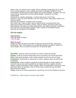 botão, a flor, em conjunto com a haste, forma o desenho característico de um cisne,
com um longo pescoço e o bico voltado para baixo. A folhagem também é muito
ornamental e continua bonita mesmo depois que as flores acabam. As folhas, num tom
verde intenso, apresentam manchas esbranquiçadas, resultando num efeito
marmorizado.
Recebendo os cuidados adequados, o ciclame pode durar muito tempo:
Coloque o vaso num local ventilado, mas sem ventos fortes, onde possa receber a luz
solar da manhã;
Ciclames não suportam umidade e calor excessivo;
Nos meses frios, irrigue a cada 3 dias ou quando estiver excessivamente seco;
Assim que as flores murcharem e caírem, retire as hastes, puxando-as para cima.
Recomenda-se não deixar as hastes apodrecerem, pois podem prejudicar a folhagem;
Para estimular novas florações, aplique a cada 3 meses um fertilizante líquido,
seguindo as orientações da embalagem.

Chá de angico

Ingredientes:
100 g de folhas de angico
1 litro de água

Modo de fazer:
Coloque as folhas de angico de molho na água por cerca de 10 dias, misturando
diariamente. Coe o chá e guarde em uma garrafa tampada. Quando for utilizar em
pulverizações, dilua uma parte do extrato em 10 partes de água.




Clorofila: Pigmento verde encontrado nos caules e folhas das plantas.
Colmo: Caule de nós bem demarcados como o do bambu e de outras gramíneas.
Colo: Parte basal da planta, onde a haste principal encontra-se com as raízes.
Composta: Subdividida em segmentos (a folha); qualquer planta da família das
Compostas.
Composto: matéria orgânica resultante da decomposição de restos vegetais, às
vezes de mistura com outras substâncias de origem animal ou vegetal, inclusive
esterco, restos de alimentos, trapos e papéis velhos. De modo geral, tudo que já viveu
pode fazer parte do Composto, mas em certos casos é preferível usar composto
exclusivamente vegetal.
Copa: Conjunto de ramos superiores de uma árvore, com forma tendente à convexa.


Coníferas: charmosas árvores-de-natal!
 