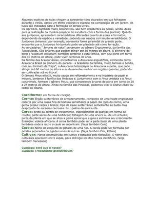 Algumas espécies de tuias chegam a apresentar tons dourados em sua folhagem
durante o verão, dando um efeito decorativo especial na composição de um jardim. As
tuias são indicadas para a formação de cercas-vivas.
Os ciprestes, também muito decorativos, são bem resistentes às podas, sendo ideais
para a realizaçÃo da topiária (espécie de escultura com a forma das plantas). Quanto
aos juníperos, apresentam características diferentes quanto às cores e formatos,
dependendo da espécie e variedade, podendo ser usados com muita versatilidade. O
Juniperus chinensis, por exemplo, apresenta forma piramidal de grande porte,
enquanto que o Juniperus horizontalis pode ser plantado até como forração.
As verdadeiras " árvores de natal" pertencem ao gênero Cryptomeria, da família das
Taxodiáceas. São árvores que podem atingir até 50 metros de altura. O pinheiro-do-
brejo (Taxodium distichum) também pertence a esta família, com seu porte em torno
dos 40 metros de altura, pode viver centenas de anos.
Na família das Araucariáceas, encontramos a Araucaria angustifolia, conhecida como
Araucaria Brasil ou pinheiro-do-paraná - a brasileira da família, muito famosa e bonita,
com seu formato de "taça"; a Araucaria heterophyla ou Araucaria excelsa, que pode
atingir até 60 metros de altura e se desenvolve melhor em regiões quentes, podendo
ser cultivadas até no litoral.
O famoso Pinus elliottii, muito usado em reflorestamento e na indústria de papel e
móveis, pertence à família das Pináceas e, juntamente com o Pinus aristata e o Pinus
canariensis, formam o gênero Pinus, que compreende árvores de porte em torno de 20
a 24 metros de altura. Ainda na família das Pináceas, podemos citar o Cedrus libani ou
cedro-do-líbano.

Cordiforme: em forma de coração.
Cormo: Órgão subterrâneo de armazenamento, composto de uma haste engrossada
coberta por uma casca fina de textura semelhante a papel. No topo do cormo, uma
gema produz raízes e brotos; tipo de caule subterrâneo semelhante ao bulbo mas
desprovido de escamas carnosas. Ex.: palma-de-santa-rita.
Coroa: Broto ou centro de crescimento, especialmente de plantas em forma de
roseta; parte aérea de uma herbácea; folhagem de uma árvore ou de um arbusto;
parte da planta em que se situa a gema apical que a guia e estimula seu crescimento.
Exemplo: violeta-africana. A coroa também pode ser a parte basal de uma planta
herbácea onde a raiz e o caule se encontram. (Veja também Colo)
Corola: Nome do conjunto de pétalas de uma flor. A corola pode ser formada por
pétalas separadas ou ligadas umas às outras. (Veja também Flor, Pétala)
Cultivar: Planta desenvolvida em cultivo e batizada pelo floricultor. O nome dos
cultivares aparecem entre aspas, para distingüi-los dos nomes científicos. (Veja
também Variedade)

Cupuaçu: será que é nosso?
Cupuaçu (Theobroma grandiflorum)
 