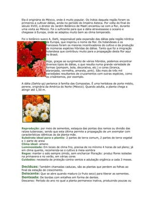 Ela é originária do México, onde é muito popular. Os índios daquela região foram os
primeiros a cultivar dálias, ainda no período do Império Asteca. Por volta do final do
século XVIII, o diretor do Jardim Botânico de Madri encantou-se com a flor, durante
uma visita ao México. Foi o suficiente para que a dália atravessasse o oceano e
chegasse à Europa, onde se adaptou muito bem ao clima temperado.

Foi o botânico sueco A. Dahl, responsável pela expansão das dálias pela região nórdica
                   da Europa, que inspirou o nome da flor. Os holandeses e os
                   franceses foram os maiores incentivadores do cultivo e da produção
                   de inúmeras espécies híbridas de dálias. Tanto que foi a imigração
                   holandesa que contribuiu muito para a propagação desta flor aqui
                   no Brasil.

                   Hoje, graças ao surgimento de vários híbridos, podemos encontrar
                   diversos tipos de dálias, o que resulta numa grande variedade de
                   formas (pompom, bola, decorativa, etc.) e cores (branca,
                   alaranjada, vermelha, amarela, pink). São mais de três mil
                   variedades resultantes de cruzamentos com outras espécies, como
                   os crisântemos, por exemplo.

A dália (Dahlia sp) pertence à família das Compostas. É uma herbácea de porte médio,
perene, originária da América do Norte (México). Quando adulta, a planta chega a
atingir até 1,50 m.




Reprodução: por meio de sementes, estaquia das pontas dos ramos ou divisão das
raízes tuberosas; sendo que esta última permite a propagação de um exemplar com
características idênticas às da planta-mãe.
Substrato ideal para o plantio: 2 partes de terra comum, 2 partes de terra vegetal
e 1 parte de areia
Clima ideal: ameno
Luminosidade: Em locais de clima frio, precisa de no mínimo 4 horas de sol pleno; já
em clima quente, recomenda-se o cultivo à meia-sombra
Regas: manter o solo sempre úmido, sem encharcar Floração: produz flores isoladas
na primavera e no verão, em várias cores
Cuidados: necessita de proteção contra ventos e adubação orgânica a cada 3 meses.

Decíduas: Também chamadas caducas, são as plantas que perdem as folhas ao
final da estação de crescimento.
Deiscente: Que se abre quando maduro (o fruto seco) para liberar as sementes.
Denteada: De bordas com entalhes em forma de dentes.
Descanso: Período do ano no qual a planta permanece inativa, produzindo poucas ou
 