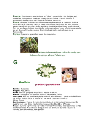 Fronde: Termo usado para designar as "folhas" samambaias com divisões bem
marcadas, que possuem esporos e brotam de um rizoma; o termo também é
empregado popularmente para designar folhas de palmeiras.
Fruto: Qualquer ovário adulto contendo sementes maduras. A cobertura externa
pode ser macia e carnosa como as bagas ou frutinhos da pitanga, ou seca, como a
vagem da prímula-do-cabo; órgão resultante do desenvolvimento do ovário de uma
flor, em geral por efeito de fecundação, embora em alguns casos o fruto possa resultar
de um desenvolvimento ovariano determinado por outro estímulo que não a
fecundação.
Fungo: Organismo vegetal do grupo dos cogumelos.




                               Existem várias espécies de chifre-de-veado, mas
                     todas pertencem ao gênero Platycerium




G


       Gardênia
                           (Gardenia jasminoides)

Família: Rubiáceas
Origem: Ásia, China
Porte: Arbusto que pode atingir até 2 metros de altura
Plantio: Propaga-se por meio de estaquia da ponta de ramos
Solo ideal: Rico em matéria orgânica (mistura recomendada: 1 parte de terra comum
de jardim, 1 parte de terra vegetal e 2 partes de composto orgânico)
Clima: Ameno
Luminosidade: Precisa de muita luminosidade, de preferência sol pleno, mas não
suporta bem o sol direto nos horários mais quentes (das 11 às 17 horas)
Regas: Durante a primavera e o verão devem ser freqüentes, mas recomenda-se não
molhar as flores. A quantidade de água deve ser diminuída durante o outono e
inverno. Solo encharcado, nem pensar!
 