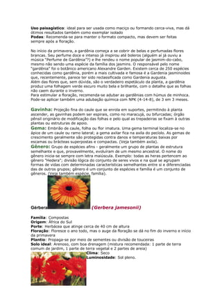 Uso paisagístico: ideal para ser usada como maciço ou formando cerca-viva, mas dá
ótimos resultados também como exemplar isolado
Podas: Recomenda-se para manter o formato compacto, mas devem ser feitas
sempre após a floração.

No início da primavera, a gardênia começa a se cobrir de belas e perfumadas flores
brancas. Seu perfume doce e intenso já inspirou até boleros (alguém aí já ouviu a
música “Perfume de Gardênia”?) e lhe rendeu o nome popular de jasmim-do-cabo,
mesmo não sendo uma espécie da família dos jasmins. O responsável pelo nome
“gardênia” foi o botânico americano Alexandre Garden. Existem cerca de 250 espécies
conhecidas como gardênia, porém a mais cultivada e famosa é a Gardenia jasminoides
que, recentemente, parece ter sido reclassificada como Gardenia augusta.
Além das flores que, sem dúvida, são o verdadeiro espetáculo da planta, a gardênia
produz uma folhagem verde escuro muito bela e brilhante, com o detalhe que as folhas
não caem durante o inverno.
Para estimular a floração, recomenda-se adubar as gardênias com húmus de minhoca.
Pode-se aplicar também uma adubação química com NPK (4-14-8), de 3 em 3 meses.

Gavinha: Projeção fina do caule que se enrola em suportes, permitindo à planta
ascender, as gavinhas podem ser espirais, como no maracujá, ou bifurcadas; órgão
pênsil originário de modificação das folhas e pelo qual as trepadeiras se fixam à outras
plantas ou estruturas de apoio.
Gema: Embrião de caule, folha ou flor imatura. Uma gema terminal localiza-se no
ápice de um caule ou ramo lateral; a gema axilar fica na axila do pecíolo. As gemas de
crescimento geralmente são protegidas contra danos e temperaturas baixas por
escamas ou brácteas superpostas e compactas. (Veja também axila).
Gênero: Grupo de espécies afins - geralmente um grupo de plantas de estrutura
semelhante e que, provavelmente, evoluíram de um mesmo ancestral. O nome do
gênero inicia-se sempre com letra maiúscula. Exemplo: todas as heras pertencem ao
gênero "Hedera"; divisão lógica do conjunto de seres vivos e na qual se agrupam
formas de vidas com determinadas características semelhantes entre si e diferenciadas
das de outros grupos; gênero é um conjunto de espécies e família é um conjunto de
gêneros. (Veja também espécie, família).




Gérbera                          (Gerbera jamesonii)

Família: Compostas
Origem: África do Sul
Porte: Herbácea que atinge cerca de 40 cm de altura
Floração: Floresce o ano todo, mas o auge da floração se dá no fim do inverno e início
da primavera
Plantio: Propaga-se por meio de sementes ou divisão de touceiras
Solo ideal: Arenoso, com boa drenagem (mistura recomendada: 1 parte de terra
comum de jardim, 1 parte de terra vegetal e 2 partes de areia)
                             Clima: Seco
                             Luminosidade: Sol pleno.
 
