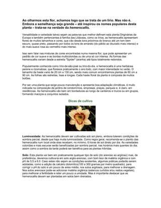 Ao olharmos esta flor, achamos logo que se trata de um lírio. Mas não é.
Embora a semelhança seja grande – até inspirou os nomes populares desta
planta – trata-se na verdade da hemerocallis.

Versatilidade e variedade talvez sejam as palavras que melhor definam esta planta.Originárias da
Europa e também pertencentes à família das Liliáceas, como os lírios, as hemerocallis apresentam
flores de muitos tamanhos e cores, que vão desde tons próximos do branco até um tom bem
escuro, quase preto, passando por todos os tons de amarelo (do pálido ao dourado mais intenso) e
do mais suave rosa ao vermelho mais intenso.

Isso sem falar nas misturas de cores encontradas numa mesma flor, que pode apresentar um
padrão de cor suave e as bordas multicoloridas ou de uma só cor intensa. As formas das
hemerocallis variam desde a estreita "Spider" (aranha) até tipos totalmente redondos.

Popularmente conhecida como lírio-de-são-josé ou lirio-do-dia, a hemerocallis é uma herbácea
perene e rizomatosa, que floresce praticamente o ano todo, com maior intensidade no verão. O
tamanho da haste varia de 20 cm a 130 cm, sendo mais comum encontrarmos plantas de 60 cm a
90 cm. As folhas são estreitas, lisas e longas. Cada haste floral da planta é composta de muitos
botões.

Por ser uma planta que exige pouca manutenção e apresenta boa adaptação climáticas, é muito
indicada na composição de jardins de condomínios, empresas, praças, parques e, é claro, em
residências. As hemerocallis vão bem em bordaduras ao longo de canteiros e muros ou em grupos,
formando maciços e conjuntos isolados.

                                      Dicas de cultivo




Luminosidade: As hemerocallis devem ser cultivadas sob sol pleno, embora tolerem condições de
sombra parcial, desde que haja muita luminosidade. Como regra geral, recomenda-se o plantio das
hemerocallis num local onde elas recebam, no mínimo, 6 horas de sol direto por dia. As variedades
coloridas e mais escuras serão beneficiadas por sombra parcial, nas horários mais quentes do dia;
assim como a sombra da tarde poderá ser benéfica para as plantas híbridas.

Solo: Esta planta vai bem em praticamente qualquer tipo de solo (do arenoso ao argiloso) mas, de
preferência, devemos cultiva-la em solo argilo-arenoso, com bom teor de matéria orgânica e com
pH de 5,5 a 6,0. Caso estas não sejam as condições existentes, algumas práticas poderão serem
adotadas, como a adição de calcário dolomítico(100 a 300 gramas por metro quadrado), para
corrigir o pH do solo e um pouco de areia média, nos solos argilosos, para melhorar a drenagem.
Nos solos arenosos pode-se adicionar matéria orgânica (estercos curtidos e/ou restos vegetais),
para melhorar a fertilidade e reter um pouco a umidade. Mas é importante destacar que as
hemerocallis devem ser plantadas em solos bem drenados.
 