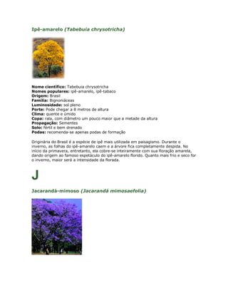 Ipê-amarelo (Tabebuia chrysotricha)




Nome científico: Tabebuia chrysotricha
Nomes populares: ipê-amarelo, ipê-tabaco
Origem: Brasil
Família: Bignoniáceas
Luminosidade: sol pleno
Porte: Pode chegar a 8 metros de altura
Clima: quente e úmido
Copa: rala, com diâmetro um pouco maior que a metade da altura
Propagação: Sementes
Solo: fértil e bem drenado
Podas: recomenda-se apenas podas de formação

Originária do Brasil é a espécie de ipê mais utilizada em paisagismo. Durante o
inverno, as folhas do ipê-amarelo caem e a árvore fica completamente despida. No
início da primavera, entretanto, ela cobre-se inteiramente com sua floração amarela,
dando origem ao famoso espetáculo do ipê-amarelo florido. Quanto mais frio e seco for
o inverno, maior será a intensidade da florada.



J
Jacarandá-mimoso (Jacarandá mimosaefolia)
 