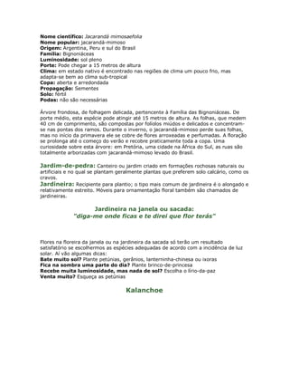 Nome científico: Jacarandá mimosaefolia
Nome popular: jacarandá-mimoso
Origem: Argentina, Peru e sul do Brasil
Família: Bignoniáceas
Luminosidade: sol pleno
Porte: Pode chegar a 15 metros de altura
Clima: em estado nativo é encontrado nas regiões de clima um pouco frio, mas
adapta-se bem ao clima sub-tropical
Copa: aberta e arredondada
Propagação: Sementes
Solo: fértil
Podas: não são necessárias

Árvore frondosa, de folhagem delicada, pertencente à Família das Bignoniáceas. De
porte médio, esta espécie pode atingir até 15 metros de altura. As folhas, que medem
40 cm de comprimento, são compostas por folíolos miúdos e delicados e concentram-
se nas pontas dos ramos. Durante o inverno, o jacarandá-mimoso perde suas folhas,
mas no início da primavera ele se cobre de flores arroxeadas e perfumadas. A floração
se prolonga até o começo do verão e recobre praticamente toda a copa. Uma
curiosidade sobre esta árvore: em Pretória, uma cidade na África do Sul, as ruas são
totalmente arborizadas com jacarandá-mimoso levado do Brasil.

Jardim-de-pedra: Canteiro ou jardim criado em formações rochosas naturais ou
artificiais e no qual se plantam geralmente plantas que preferem solo calcário, como os
cravos.
Jardineira: Recipiente para plantio; o tipo mais comum de jardineira é o alongado e
relativamente estreito. Móveis para ornamentação floral também são chamados de
jardineiras.

                   Jardineira na janela ou sacada:
             "diga-me onde ficas e te direi que flor terás"



Flores na floreira da janela ou na jardineira da sacada só terão um resultado
satisfatório se escolhermos as espécies adequadas de acordo com a incidência de luz
solar. Aí vão algumas dicas:
Bate muito sol? Plante petúnias, gerânios, lanterninha-chinesa ou ixoras
Fica na sombra uma parte do dia? Plante brinco-de-princesa
Recebe muita luminosidade, mas nada de sol? Escolha o lírio-da-paz
Venta muito? Esqueça as petúnias

                                   Kalanchoe
 