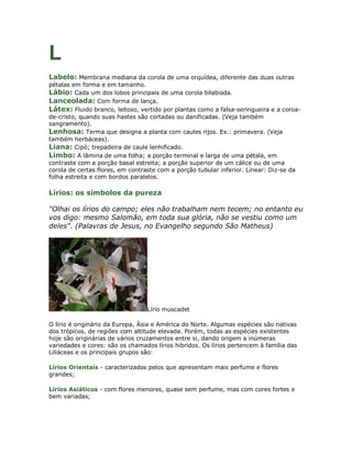 L
Labelo: Membrana mediana da corola de uma orquídea, diferente das duas outras
pétalas em forma e em tamanho.
Lábio: Cada um dos lobos principais de uma corola bilabiada.
Lanceolada: Com forma de lança.
Látex: Fluido branco, leitoso, vertido por plantas como a falsa-seringueira e a coroa-
de-cristo, quando suas hastes são cortadas ou danificadas. (Veja também
sangramento).
Lenhosa: Terma que designa a planta com caules rijos. Ex.: primavera. (Veja
também herbáceas).
Liana: Cipó; trepadeira de caule lenhificado.
Limbo: A lâmina de uma folha; a porção terminal e larga de uma pétala, em
contraste com a porção basal estreita; a porção superior de um cálice ou de uma
corola de certas flores, em contraste com a porção tubular inferior. Linear: Diz-se da
folha estreita e com bordos paralelos.

Lírios: os símbolos da pureza

"Olhai os lírios do campo; eles não trabalham nem tecem; no entanto eu
vos digo: mesmo Salomão, em toda sua glória, não se vestiu como um
deles". (Palavras de Jesus, no Evangelho segundo São Matheus)




                                  Lírio muscadet

O lírio é originário da Europa, Ásia e América do Norte. Algumas espécies são nativas
dos trópicos, de regiões com altitude elevada. Porém, todas as espécies existentes
hoje são originárias de vários cruzamentos entre si, dando origem a inúmeras
variedades e cores: são os chamados lírios hibridos. Os lírios pertencem à família das
Liliáceas e os principais grupos são:

Lírios Orientais - caracterizados pelos que apresentam mais perfume e flores
grandes;

Lírios Asiáticos - com flores menores, quase sem perfume, mas com cores fortes e
bem variadas;
 
