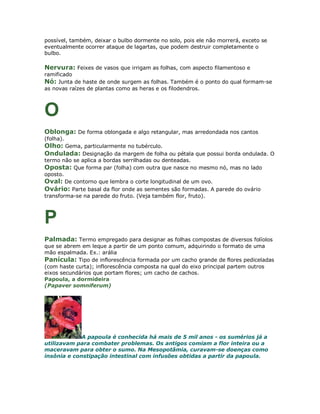 possível, também, deixar o bulbo dormente no solo, pois ele não morrerá, exceto se
eventualmente ocorrer ataque de lagartas, que podem destruir completamente o
bulbo.

Nervura: Feixes de vasos que irrigam as folhas, com aspecto filamentoso e
ramificado
Nó: Junta de haste de onde surgem as folhas. Também é o ponto do qual formam-se
as novas raízes de plantas como as heras e os filodendros.



O
Oblonga: De forma oblongada e algo retangular, mas arredondada nos cantos
(folha).
Olho: Gema, particularmente no tubérculo.
Ondulada: Designação da margem de folha ou pétala que possui borda ondulada. O
termo não se aplica a bordas serrilhadas ou denteadas.
Oposta: Que forma par (folha) com outra que nasce no mesmo nó, mas no lado
oposto.
Oval: De contorno que lembra o corte longitudinal de um ovo.
Ovário: Parte basal da flor onde as sementes são formadas. A parede do ovário
transforma-se na parede do fruto. (Veja também flor, fruto).



P
Palmada: Termo empregado para designar as folhas compostas de diversos folíolos
que se abrem em leque a partir de um ponto comum, adquirindo o formato de uma
mão espalmada. Ex.: arália
Panícula: Tipo de inflorescência formada por um cacho grande de flores pediceladas
(com haste curta); inflorescência composta na qual do eixo principal partem outros
eixos secundários que portam flores; um cacho de cachos.
Papoula, a dormideira
(Papaver somniferum)




             A papoula é conhecida há mais de 5 mil anos - os sumérios já a
utilizavam para combater problemas. Os antigos comiam a flor inteira ou a
maceravam para obter o sumo. Na Mesopotâmia, curavam-se doenças como
insônia e constipação intestinal com infusões obtidas a partir da papoula.
 