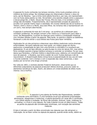 A papoula foi muito conhecida nos tempos remotos, tinha muito prestígio entre os
médicos da Grécia antiga. Na mitologia grega era relacionada a Hipnos, o deus do
sono, pai de Morpheu - que a tinha como planta favorita e, por isso, era representado
com os frutos desta planta na mão. Há também uma estreita relação entre a papoula e
a deusa grega Nix, a Noite. Deusa das Trevas, filha do Caos, é na verdade a mais
antiga das divindades. Freqüentemente, ela é representada coroada de papoulas e
envolta num grande manto negro e estrelado. Em muitas referências ela se localiza no
Tártaro, entre o Sono e a Morte, seus dois filhos. Os romanos não a representavam em
um carro, mas sempre adormecida.

A papoula é conhecida há mais de 5 mil anos - os sumérios já a utilizavam para
combater problemas. Os antigos comiam a flor inteira ou a maceravam para obter o
sumo. Na Mesopotâmia, curavam-se doenças como insônia e constipação intestinal
com infusões obtidas a partir da papoula. Mais tarde, os assírios e depois os babilônios
herdaram a arte de extrair o suco leitoso dos frutos para fazer remédios.

Hipócrates foi um dos primeiros a descrever seus efeitos medicinais contra diversas
enfermidades. Há quem defenda que mais tarde, um médico grego em Roma,
padronizou a preparação do ópio com uma fórmula (o mitridato) e a receitava aos
gladiadores. O uso do ópio difundiu-se pela Europa no início do século XVI, mas sofreu
forte combate quando a Igreja Católica começou a controlar os remédios. Foi por essa
época que Paracelso, o famoso médico e alquimista suíço, elaborou um concentrado de
suco de papoula - o láudano, que teria o poder de curar muitas doenças e até de
rejuvenescer. A disseminação desta crença levou à popularização do seu uso em todo
o mundo ocidental. Com o tempo e com a expansão das rotas comerciais, o ópio
acabou por se tornar uma droga universal.

Por volta de 1803, o cientista alemão Frederick Sertuener, observando que os
diferentes subprodutos da papoula produziam efeitos diversos, procurou isolar os
elementos narcóticos do ópio. Assim, ele obteve um cristal alcalóide de efeito muito
intenso: era a morfina.




                    A papoula é uma planta da Família das Papaveráceas, também
   conhecida como dormideira. É uma herbácea anual que apresenta propriedades
alimentares, oleaginosas e medicinais. A planta apresenta um caule alto e ramificado,
  com folhas sésseis e ovaladas. As flores são grandes, brancas, rosas, violáceas ou
vermelhas, e o fruto é uma cápsula. Por toda a planta circula um látex branco. Todas
    as partes da papoula são consideradas venenosas, com exceção das sementes
                                       maduras.

O ópio é retirado a partir do látex encontrado nas cápsulas que não atingiram a
maturação. Ao se fazer cortes na cápsula da papoula, quando ainda verde, obtém-se
 
