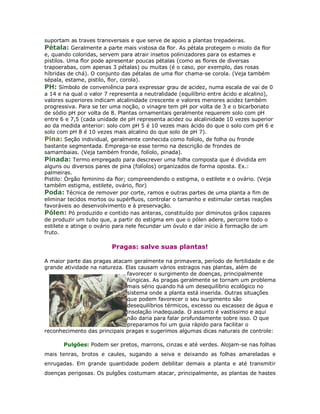 suportam as traves transversais e que serve de apoio a plantas trepadeiras.
Pétala: Geralmente a parte mais vistosa da flor. As pétala protegem o miolo da flor
e, quando coloridas, servem para atrair insetos polinizadores para os estames e
pistilos. Uma flor pode apresentar poucas pétalas (como as flores de diversas
trapoerabas, com apenas 3 pétalas) ou muitas (é o caso, por exemplo, das rosas
híbridas de chá). O conjunto das pétalas de uma flor chama-se corola. (Veja também
sépala, estame, pistilo, flor, corola).
PH: Símbolo de conveniência para expressar grau de acidez, numa escala de vai de 0
a 14 e na qual o valor 7 representa a neutralidade (equilíbrio entre ácido e alcalino),
valores superiores indicam alcalinidade crescente e valores menores acidez também
progressiva. Para se ter uma noção, o vinagre tem pH por volta de 3 e o bicarbonato
de sódio pH por volta de 8. Plantas ornamentais geralmente requerem solo com pH
entre 6 e 7,5 (cada unidade de pH representa acidez ou alcalinidade 10 vezes superior
ao da medida anterior: solo com pH 5 é 10 vezes mais ácido do que o solo com pH 6 e
solo com pH 8 é 10 vezes mais alcalino do que solo de pH 7).
Pina: Seção individual, geralmente conhecida como folíolo, de folha ou fronde
bastante segmentada. Emprega-se esse termo na descrição de frondes de
samambaias. (Veja também fronde, folíolo, pinada).
Pinada: Termo empregado para descrever uma folha composta que é dividida em
alguns ou diversos pares de pina (folíolos) organizados de forma oposta. Ex.:
palmeiras.
Pistilo: Órgão feminino da flor; compreendendo o estigma, o estilete e o ovário. (Veja
também estigma, estilete, ovário, flor)
Poda: Técnica de remover por corte, ramos e outras partes de uma planta a fim de
eliminar tecidos mortos ou supérfluos, controlar o tamanho e estimular certas reações
favoráveis ao desenvolvimento e à preservação.
Pólen: Pó produzido e contido nas anteras, constituído por diminutos grãos capazes
de produzir um tubo que, a partir do estigma em que o pólen adere, percorre todo o
estilete e atinge o ovário para nele fecundar um óvulo e dar início à formação de um
fruto.

                         Pragas: salve suas plantas!

A maior parte das pragas atacam geralmente na primavera, período de fertilidade e de
grande atividade na natureza. Elas causam vários estragos nas plantas, além de
                              favorecer o surgimento de doenças, principalmente
                              fúngicas. As pragas geralmente se tornam um problema
                              mais sério quando há um desequilíbrio ecológico no
                              sistema onde a planta está inserida. Outras situações
                              que podem favorecer o seu surgimento são
                              desequilíbrios térmicos, excesso ou escassez de água e
                              insolação inadequada. O assunto é vastíssimo e aqui
                              não daria para falar profundamente sobre isso. O que
                              preparamos foi um guia rápido para facilitar o
reconhecimento das principais pragas e sugerimos algumas dicas naturais de controle:

       Pulgões: Podem ser pretos, marrons, cinzas e até verdes. Alojam-se nas folhas
mais tenras, brotos e caules, sugando a seiva e deixando as folhas amareladas e
enrugadas. Em grande quantidade podem debilitar demais a planta e até transmitir
doenças perigosas. Os pulgões costumam atacar, principalmente, as plantas de hastes
 