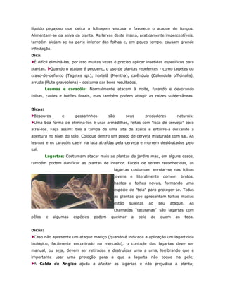 líquido pegajoso que deixa a folhagem viscosa e favorece o ataque de fungos.
Alimentam-se da seiva da planta. As larvas deste inseto, praticamente imperceptíveis,
também alojam-se na parte inferior das folhas e, em pouco tempo, causam grande
infestação.
Dica:
 É difícil eliminá-las, por isso muitas vezes é preciso aplicar insetidas específicos para
plantas.     Quando o ataque é pequeno, o uso de plantas repelentes - como tagetes ou
cravo-de-defunto (Tagetes sp.), hortelã (Mentha), calêndula (Calendula officinalis),
arruda (Ruta graveolens) - costuma dar bons resultados.
         Lesmas e caracóis: Normalmente atacam à noite, furando e devorando
folhas, caules e botões florais, mas também podem atingir as raízes subterrâneas.


Dicas:
 Besouros         e      passarinhos          são          seus          predadores            naturais;
 Uma boa forma de eliminá-los é usar armadilhas, feitas com “isca de cerveja” para
atraí-los. Faça assim: tire a tampa de uma lata de azeite e enterre-a deixando a
abertura no nível do solo. Coloque dentro um pouco de cerveja misturada com sal. As
lesmas e os caracóis caem na lata atraídas pela cerveja e morrem desidratados pelo
sal.
         Lagartas: Costumam atacar mais as plantas de jardim mas, em alguns casos,
também podem danificar as plantas de interior. Fáceis de serem reconhecidas, as
                                                   lagartas costumam enrolar-se nas folhas
                                                   jovens    e       literalmente      comem       brotos,
                                                   hastes e folhas novas, formando uma
                                                   espécie de "teia" para proteger-se. Todas
                                                   as plantas que apresentam folhas macias
                                                   estão    sujeitas          ao     seu   ataque.     As
                                                   chamadas “taturanas” são lagartas com
pêlos    e    algumas   espécies   podem       queimar          a     pele    de     quem     as     toca.


Dicas:
 Caso não apresente um ataque maciço (quando é indicada a aplicação um lagarticida
biológico, facilmente encontrado no mercado), o controle das lagartas deve ser
manual, ou seja, devem ser retiradas e destruídas uma a uma, lembrando que é
importante     usar   uma   proteção   para    a    que     a       lagarta    não    toque   na     pele;
 A Calda de Angico ajuda a afastar as lagartas e não prejudica a planta;
 