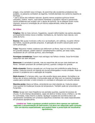 pragas, criou também seus inimigos. As joaninhas são excelentes predadoras dos
pulgões, os pássaros combatem as lagartas, hortelã plantada nos canteiros espanta as
formigas...;
* Use e abuse dos métodos naturais: Quanto menos produtos químicos forem
utilizados, melhor. Assim, você estará mantendo o equilíbrio natural e prevenindo
contra problemas que surgem com o abuso de química. Se os ataques forem muito
intensos, procure a orientação de um técnico especializado, antes de aplicar
defensivos.

Os Vilões

Pulgões: São os mais comuns. Sugadores, causam deformações nas partes atacadas,
principalmente brotos novos e botões. Combata-os, de maneira mais natural, com
calda de fumo.

Ácaros: São quase invisíveis a olho nú e se localizam, em colônias, na parte inferior
das folhas, causando grandes prejuízos. A aplicação de enxofre solúvel pode servir
como prevenção.

Trips: Pequenos insetos voadores que deformam as flores, logo no início da brotação.
Em grandes ataques, podem destruir completamente a planta, por essa razão,
necessitam de um controle químico, sob orientação.

Formigas-cortadeiras: Fazem mais estragos nas folhas e brotos. Iscas formicidas
costumam ser bem eficazes.

Besouros: A variedade é grande, mas as vaquinhas são as que mais destroem as
flores. Também precisam de combate químico, quando o ataque for grande.

Mofo-cinzento: Doença causada por um fungo que tem preferência pelas flores e
botões. Costuma ocorrer em épocas de chuvas prolongadas e muita umidade. Pode-se
prevenir o problema com a aplicação de fungidas.

Mofo-branco: É o famoso oídio, que não escolhe época para atacar. Os botões e as
folhas são os alvos preferidos. A prevenção pode ser feita com os mesmos fungicidas
usados para controlar o mofo-cinzento e o combate é reforçado com enxofre solúvel.

Mancha-preta: Ataca as folhas, amarelando-as e derrubando-as. Costuma atacar
mais quando há mudanças bruscas de temperatura. Também pode ser prevenida com
fungicidas.

Míldio: Surge com mais freqüência nos períodos quentes, quando há excesso de
chuvas. É uma doença devastadora, capaz de destruir brotos novos e folhas e, se não
for controlada, mata mesmo a planta. Qualquer suspeita de ocorrência deve ser
rapidamente combatida com produtos específicos existentes nas casas especializadas
em produtos agropecuários.

   Lembre-se: Todo e qualquer produto químico deve apenas ser aplicado
segundo a recomendação do fabricante e só deve ser adquirido após consulta
 com um técnico especializado, que poderá fazer a prescrição do receituário
                               agronômico.
 