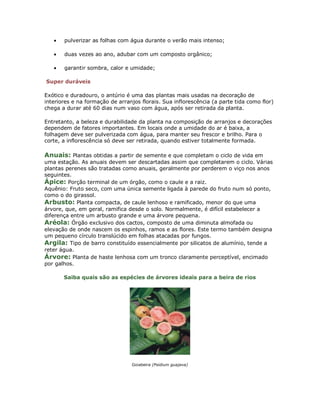 •   pulverizar as folhas com água durante o verão mais intenso;

   •   duas vezes ao ano, adubar com um composto orgânico;

   •   garantir sombra, calor e umidade;

Super duráveis

Exótico e duradouro, o antúrio é uma das plantas mais usadas na decoração de
interiores e na formação de arranjos florais. Sua inflorescência (a parte tida como flor)
chega a durar até 60 dias num vaso com água, após ser retirada da planta.

Entretanto, a beleza e durabilidade da planta na composição de arranjos e decorações
dependem de fatores importantes. Em locais onde a umidade do ar é baixa, a
folhagem deve ser pulverizada com água, para manter seu frescor e brilho. Para o
corte, a inflorescência só deve ser retirada, quando estiver totalmente formada.

Anuais: Plantas obtidas a partir de semente e que completam o ciclo de vida em
uma estação. As anuais devem ser descartadas assim que completarem o ciclo. Várias
plantas perenes são tratadas como anuais, geralmente por perderem o viço nos anos
seguintes.
Ápice: Porção terminal de um órgão, como o caule e a raiz.
Aquênio: Fruto seco, com uma única semente ligada à parede do fruto num só ponto,
como o do girassol.
Arbusto: Planta compacta, de caule lenhoso e ramificado, menor do que uma
árvore, que, em geral, ramifica desde o solo. Normalmente, é difícil estabelecer a
diferença entre um arbusto grande e uma árvore pequena.
Aréola: Órgão exclusivo dos cactos, composto de uma diminuta almofada ou
elevação de onde nascem os espinhos, ramos e as flores. Este termo também designa
um pequeno círculo translúcido em folhas atacadas por fungos.
Argila: Tipo de barro constituído essencialmente por silicatos de alumínio, tende a
reter água.
Árvore: Planta de haste lenhosa com um tronco claramente perceptível, encimado
por galhos.

       Saiba quais são as espécies de árvores ideais para a beira de rios




                                 Goiabeira (Psidium guajava)
 