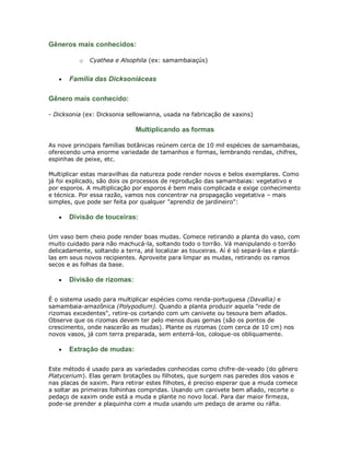 Gêneros mais conhecidos:

          o   Cyathea e Alsophila (ex: samambaiaçús)


   •   Família das Dicksoniáceas

Gênero mais conhecido:

- Dicksonia (ex: Dicksonia sellowianna, usada na fabricação de xaxins)

                              Multiplicando as formas

As nove principais famílias botânicas reúnem cerca de 10 mil espécies de samambaias,
oferecendo uma enorme variedade de tamanhos e formas, lembrando rendas, chifres,
espinhas de peixe, etc.

Multiplicar estas maravilhas da natureza pode render novos e belos exemplares. Como
já foi explicado, são dois os processos de reprodução das samambaias: vegetativo e
por esporos. A multiplicação por esporos é bem mais complicada e exige conhecimento
e técnica. Por essa razão, vamos nos concentrar na propagação vegetativa – mais
simples, que pode ser feita por qualquer "aprendiz de jardineiro":

   •   Divisão de touceiras:

Um vaso bem cheio pode render boas mudas. Comece retirando a planta do vaso, com
muito cuidado para não machucá-la, soltando todo o torrão. Vá manipulando o torrão
delicadamente, soltando a terra, até localizar as touceiras. Aí é só separá-las e plantá-
las em seus novos recipientes. Aproveite para limpar as mudas, retirando os ramos
secos e as folhas da base.

   •   Divisão de rizomas:

É o sistema usado para multiplicar espécies como renda-portuguesa (Davallia) e
samambaia-amazônica (Polypodium). Quando a planta produzir aquela "rede de
rizomas excedentes", retire-os cortando com um canivete ou tesoura bem afiados.
Observe que os rizomas devem ter pelo menos duas gemas (são os pontos de
crescimento, onde nascerão as mudas). Plante os rizomas (com cerca de 10 cm) nos
novos vasos, já com terra preparada, sem enterrá-los, coloque-os obliquamente.

   •   Extração de mudas:

Este método é usado para as variedades conhecidas como chifre-de-veado (do gênero
Platycerium). Elas geram brotações ou filhotes, que surgem nas paredes dos vasos e
nas placas de xaxim. Para retirar estes filhotes, é preciso esperar que a muda comece
a soltar as primeiras folhinhas compridas. Usando um canivete bem afiado, recorte o
pedaço de xaxim onde está a muda e plante no novo local. Para dar maior firmeza,
pode-se prender a plaquinha com a muda usando um pedaço de arame ou ráfia.
 