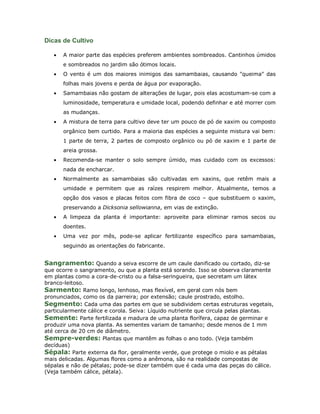 Dicas de Cultivo

   •   A maior parte das espécies preferem ambientes sombreados. Cantinhos úmidos
       e sombreados no jardim são ótimos locais.
   •   O vento é um dos maiores inimigos das samambaias, causando "queima" das
       folhas mais jovens e perda de água por evaporação.
   •   Samambaias não gostam de alterações de lugar, pois elas acostumam-se com a
       luminosidade, temperatura e umidade local, podendo definhar e até morrer com
       as mudanças.
   •   A mistura de terra para cultivo deve ter um pouco de pó de xaxim ou composto
       orgânico bem curtido. Para a maioria das espécies a seguinte mistura vai bem:
       1 parte de terra, 2 partes de composto orgânico ou pó de xaxim e 1 parte de
       areia grossa.
   •   Recomenda-se manter o solo sempre úmido, mas cuidado com os excessos:
       nada de encharcar.
   •   Normalmente as samambaias são cultivadas em xaxins, que retêm mais a
       umidade e permitem que as raízes respirem melhor. Atualmente, temos a
       opção dos vasos e placas feitos com fibra de coco – que substituem o xaxim,
       preservando a Dicksonia sellowianna, em vias de extinção.
   •   A limpeza da planta é importante: aproveite para eliminar ramos secos ou
       doentes.
   •   Uma vez por mês, pode-se aplicar fertilizante específico para samambaias,
       seguindo as orientações do fabricante.


Sangramento: Quando a seiva escorre de um caule danificado ou cortado, diz-se
que ocorre o sangramento, ou que a planta está sorando. Isso se observa claramente
em plantas como a cora-de-cristo ou a falsa-seringueira, que secretam um látex
branco-leitoso.
Sarmento: Ramo longo, lenhoso, mas flexível, em geral com nós bem
pronunciados, como os da parreira; por extensão; caule prostrado, estolho.
Segmento: Cada uma das partes em que se subdividem certas estruturas vegetais,
particularmente cálice e corola. Seiva: Líquido nutriente que circula pelas plantas.
Semente: Parte fertilizada e madura de uma planta florífera, capaz de germinar e
produzir uma nova planta. As sementes variam de tamanho; desde menos de 1 mm
até cerca de 20 cm de diâmetro.
Sempre-verdes: Plantas que mantêm as folhas o ano todo. (Veja também
decíduas)
Sépala: Parte externa da flor, geralmente verde, que protege o miolo e as pétalas
mais delicadas. Algumas flores como a anêmona, são na realidade compostas de
sépalas e não de pétalas; pode-se dizer também que é cada uma das peças do cálice.
(Veja também cálice, pétala).
 