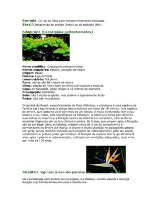 Serrada: Diz-se da folha com margem finamente denteada.
Séssil: Desprovida de pecíolo (folha) ou de pedicelo (flor).

Sibipiruna (Caesalpinia peltophoroides)




Nome científico: Caesalpinia peltophoroides
Nomes populares: sibipira, coração-de-negro
Origem: Brasil
Família: Leguminosas
Luminosidade: Sol pleno
Porte: atinge até 18 metros de altura
Clima: adapta-se muito bem ao clima sub-tropical e tropical.
Copa: arredondada, pode chegar a 15 metros de diâmetro
Propagação: Sementes
Solo: não é muito exigente, mas prefere o ligeiramente ácido
Podas: não são necessárias

Originária do Brasil, especificamente da Mata Atlântica, a sibipiruna é uma espécie da
Família das Leguminosas e atinge altura máxima em torno de 18 metros. Esta espécie
de árvore, que costuma viver por mais de um século, é muito confundida com o pau-
brasil e o pau-ferro, pela semelhança da folhagem. A sibipiruna perde parcialmente
suas folhas no inverno e a floração ocorre de setembro a novembro, com as flores
amarelas dispostas em cachos cônicos e eretos. Os frutos, que surgem após a floração,
são de cor bege-claro, achatados, medem cerca de 3 cm de comprimento e
permanecem na árvore até março. A árvore é muito utilizada no paisagismo urbano
em geral, sendo também indicada para projetos de reflorestamento pelo seu rápido
crescimento e grande poder germinativo. A floração da espécie ocorre geralmente 8
anos após o plantio e cada exemplar, cultivado em condições adequadas, pode viver
por mais de 100 anos.




Strelitzia reginae: a ave-do-paraíso

Ela é considerada a flor-símbolo de Los Angeles: é a strelitzia ‚ uma flor colorida e de longa
duração, cujo formato lembra uma vivaz e colorida ave.
 