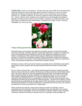 Tubérculo: Caule ou raiz grossa e carnosa que age como órgão de armazenamento.
Algumas plantas de raízes tuberosas podem perdem as folhas e o caule no outono,
enquanto o tubérculo armazena alimento para o novo crescimento na primavera
seguinte. Ex.: begônia tuberosa. Às vezes os tubérculos são produzidos em hastes.
Ex.: rosário. Pode-se dizer também que o tubérculo é uma formação de tendência
globular, provida de uma reserva de nutrientes; a batata é um tubérculo típico, mas
nem todos os tubérculos são subterrâneos. (Compare com bulbo, cormo e rizoma).
Tubular: Em forma de tubo.




Tulipa (Tulipa gesneriana)

Muita gente pensa que as tulipas são originárias da Holanda, tamanha a associação existente
entre elas e este país. Entretanto, segundo a maioria das referências, as tulipas, na verdade, são
turcas e foram levadas para a Holanda por volta de 1560, depois que o botânico Conrad von
Gesner as catalogou em 1559, usando bulbos originais coletados em Constantinopla, atual
Istambul. O nome da flor foi inspirado na palavra "tulipan" que significa "turbante" (o formato da
tulipa lembra mesmo um turbante). Outras referências defendem que as tulipas são originárias da
China, de onde foram levadas para as montanhas do Cáucaso e Pérsia.

Chinesas ou turcas, o fato é que elas se tornaram uma paixão para os holandeses e essa paixão
pelas tulipas foi tanta que gerou até uma especulação financeira envolvendo os bulbos desta
planta.

No livro "Salve-se Quem Puder – Uma História da Especulação Financeira", Edward Chancellor
descreve esse curioso fato em detalhes. Na Holanda, os bulbos encontraram terras férteis e ideais
para o seu cultivo, além de um povo que simplesmente amava flores. O entusiasmo pela tulipa
gerou o desenvolvimento de muitas variedades com diferentes tamanhos e cores. Por volta de
1620, algumas variedades chegavam a um grau de raridade tão grande, que uma única flor
alcançava preços elevadíssimos. E a especulação corria solta. No verão, época do plantio, já se
negociavam os bulbos que iam florescer na primavera seguinte – cerca de um ano depois. O papel
que representava a propriedade de um bulbo ainda por florir podia passar, em poucas semanas, de
20 florins para 255 florins, ou de 90 para 900 florins. A situação tornou-se tão crítica, que o governo
holandês teve de intervir para acabar com a especulação.

Planta da família das Liliáceas, a tulipa produz folhas que podem ser oblongas, ovais ou
lanceoladas (em forma de lança). Do centro da folhagem surge uma haste ereta, com uma flor
solitária formada por seis pétalas. Cores e formas são bem variadas. Existem muitas variedades
cultivadas e milhares de híbridos em diversas cores, tons matizados, pontas picotadas, etc.
 