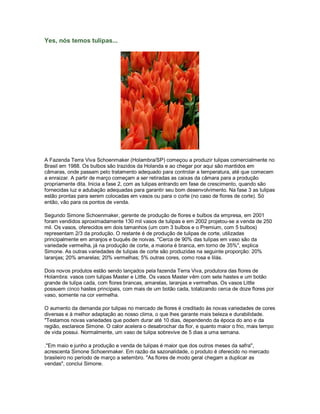 Yes, nós temos tulipas...




A Fazenda Terra Viva Schoenmaker (Holambra/SP) começou a produzir tulipas comercialmente no
Brasil em 1988. Os bulbos são trazidos da Holanda e ao chegar por aqui são mantidos em
câmaras, onde passam pelo tratamento adequado para controlar a temperatura, até que comecem
a enraizar. A partir de março começam a ser retiradas as caixas da câmara para a produção
propriamente dita. Inicia a fase 2, com as tulipas entrando em fase de crescimento, quando são
fornecidas luz e adubação adequadas para garantir seu bom desenvolvimento. Na fase 3 as tulipas
estão prontas para serem colocadas em vasos ou para o corte (no caso de flores de corte). Só
então, vão para os pontos de venda.

Segundo Simone Schoenmaker, gerente de produção de flores e bulbos da empresa, em 2001
foram vendidos aproximadamente 130 mil vasos de tulipas e em 2002 projetou-se a venda de 250
mil. Os vasos, oferecidos em dois tamanhos (um com 3 bulbos e o Premium, com 5 bulbos)
representam 2/3 da produção. O restante é de produção de tulipas de corte, utilizadas
principalmente em arranjos e buquês de noivas. "Cerca de 90% das tulipas em vaso são da
variedade vermelha, já na produção de corte, a maioria é branca, em torno de 35%", explica
Simone. As outras variedades de tulipas de corte são produzidas na seguinte proporção: 20%
laranjas; 20% amarelas; 20% vermelhas; 5% outras cores, como rosa e lilás.

Dois novos produtos estão sendo lançados pela fazenda Terra Viva, produtora das flores de
Holambra: vasos com tulipas Master e Little. Os vasos Master vêm com sete hastes e um botão
grande de tulipa cada, com flores brancas, amarelas, laranjas e vermelhas. Os vasos Little
possuem cinco hastes principais, com mais de um botão cada, totalizando cerca de doze flores por
vaso, somente na cor vermelha.

O aumento da demanda por tulipas no mercado de flores é creditado às novas variedades de cores
diversas e à melhor adaptação ao nosso clima, o que lhes garante mais beleza e durabilidade.
"Testamos novas variedades que podem durar até 10 dias, dependendo da época do ano e da
região, esclarece Simone. O calor acelera o desabrochar da flor, e quanto maior o frio, mais tempo
de vida possui. Normalmente, um vaso de tulipa sobrevive de 5 dias a uma semana.

."Em maio e junho a produção e venda de tulipas é maior que dos outros meses da safra",
acrescenta Simone Schoenmaker. Em razão da sazonalidade, o produto é oferecido no mercado
brasileiro no período de março a setembro. "As flores de modo geral chegam a duplicar as
vendas", conclui Simone.
 