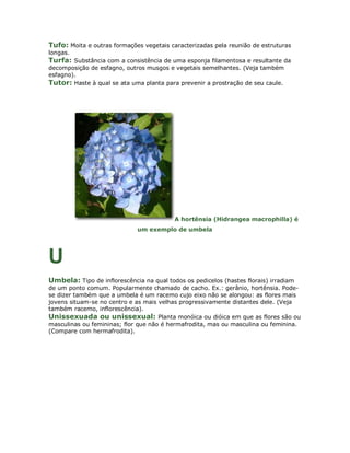 Tufo: Moita e outras formações vegetais caracterizadas pela reunião de estruturas
longas.
Turfa: Substância com a consistência de uma esponja filamentosa e resultante da
decomposição de esfagno, outros musgos e vegetais semelhantes. (Veja também
esfagno).
Tutor: Haste à qual se ata uma planta para prevenir a prostração de seu caule.




                                          A hortênsia (Hidrangea macrophilla) é
                              um exemplo de umbela




U
Umbela: Tipo de inflorescência na qual todos os pedicelos (hastes florais) irradiam
de um ponto comum. Popularmente chamado de cacho. Ex.: gerânio, hortênsia. Pode-
se dizer também que a umbela é um racemo cujo eixo não se alongou: as flores mais
jovens situam-se no centro e as mais velhas progressivamente distantes dele. (Veja
também racemo, inflorescência).
Unissexuada ou unissexual: Planta monóica ou dióica em que as flores são ou
masculinas ou femininas; flor que não é hermafrodita, mas ou masculina ou feminina.
(Compare com hermafrodita).
 