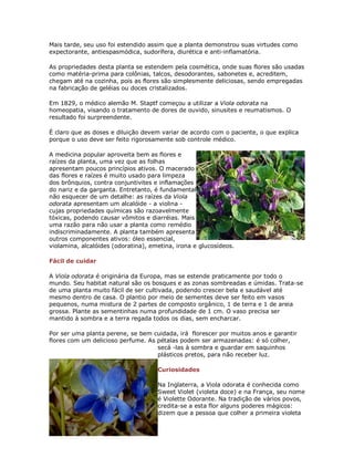 Mais tarde, seu uso foi estendido assim que a planta demonstrou suas virtudes como
expectorante, antiespasmódica, sudorífera, diurética e anti-inflamatória.

As propriedades desta planta se estendem pela cosmética, onde suas flores são usadas
como matéria-prima para colônias, talcos, desodorantes, sabonetes e, acreditem,
chegam até na cozinha, pois as flores são simplesmente deliciosas, sendo empregadas
na fabricação de geléias ou doces cristalizados.

Em 1829, o médico alemão M. Staptf começou a utilizar a Viola odorata na
homeopatia, visando o tratamento de dores de ouvido, sinusites e reumatismos. O
resultado foi surpreendente.

É claro que as doses e diluição devem variar de acordo com o paciente, o que explica
porque o uso deve ser feito rigorosamente sob controle médico.

A medicina popular aproveita bem as flores e
raízes da planta, uma vez que as folhas
apresentam poucos princípios ativos. O macerado
das flores e raízes é muito usado para limpeza
dos brônquios, contra conjuntivites e inflamações
do nariz e da garganta. Entretanto, é fundamental
não esquecer de um detalhe: as raízes da Viola
odorata apresentam um alcalóide - a violina -
cujas propriedades químicas são razoavelmente
tóxicas, podendo causar vômitos e diarréias. Mais
uma razão para não usar a planta como remédio
indiscriminadamente. A planta também apresenta
outros componentes ativos: óleo essencial,
violamina, alcalóides (odoratina), emetina, irona e glucosídeos.

Fácil de cuidar

A Viola odorata é originária da Europa, mas se estende praticamente por todo o
mundo. Seu habitat natural são os bosques e as zonas sombreadas e úmidas. Trata-se
de uma planta muito fácil de ser cultivada, podendo crescer bela e saudável até
mesmo dentro de casa. O plantio por meio de sementes deve ser feito em vasos
pequenos, numa mistura de 2 partes de composto orgânico, 1 de terra e 1 de areia
grossa. Plante as sementinhas numa profundidade de 1 cm. O vaso precisa ser
mantido à sombra e a terra regada todos os dias, sem encharcar.

Por ser uma planta perene, se bem cuidada, irá florescer por muitos anos e garantir
flores com um delicioso perfume. As pétalas podem ser armazenadas: é só colher,
                                    secá -las à sombra e guardar em saquinhos
                                    plásticos pretos, para não receber luz.

                                     Curiosidades

                                     Na Inglaterra, a Viola odorata é conhecida como
                                     Sweet Violet (violeta doce) e na França, seu nome
                                     é Violette Odorante. Na tradição de vários povos,
                                     credita-se a esta flor alguns poderes mágicos:
                                     dizem que a pessoa que colher a primeira violeta
 