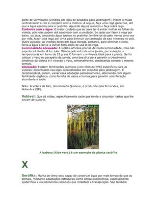 parte de vermiculita (vendida em lojas de produtos para jardinagem). Plante a muda
centralizando a raiz e complete com a mistura. A seguir, faça uma rega generosa, até
que a água escorra para o pratinho. Aguarde alguns minutos e faça outra rega.
Cuidados com a água: O maior cuidado que se deve ter é evitar molhar as folhas da
violeta, pois elas podem até apodrecer com a umidade. Se optar por fazer a rega por
baixo, ou seja, colocando água apenas no pratinho, lembre-se de pelo menos uma vez
por mês, fazer uma rega por cima para diminuir concentração de sais minerais no solo.
Outro cuidado: as violetas detestam água clorada, portanto, para eliminar o cloro,
ferva a água e deixe-a esfriar bem antes de usá-la na rega.
Luminosidade adequada: A violeta-africana precisa de muita luminosidade, mas não
suporta sol direto. A luz solar filtrada pelo vidro de uma janela, por exemplo, e
temperaturas em torno de 25 graus C formam o ambiente ideal para a planta. Se for
colocar o vaso no parapeito da janela, uma boa dica para garantir o crescimento
simétrico da violeta é ir virando o vaso, semanalmente, obedecendo sempre o mesmo
sentido.
Adubação: Existem fertilizantes químicos (com fórmula NPK) específicos para as
violetas, encontrados nas lojas especializadas em produtos para jardinagem. É
recomendável, porém, variar essa adubação periodicamente, alternando com algum
fertilizante orgânico, como farinha de ossos e húmus,para garantir uma floração
abundante e sadia.

Nota: A violeta da foto, denominada Quimera, é produzida pela Terra Viva, em
Holambra (SP).

Volúvel: Que dá voltas, especificamente caule que tende a circundar hastes que lhe
sirvam de suporte.




             A babosa (Aloe vera) é um exemplo de planta xerófita




X
Xerófita: Planta de clima seco capaz de conservar água por mais tempo do que as
demais, mediante adaptações estruturais como densa pubescência, espessamento
epidérmico e revestimentos resinosos que retardam a transpiração. São também
 