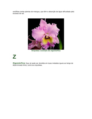 xerófitas certas plantas de mangue, que têm a absorção da água dificultada pelo
excesso de sal.




                        Orquídea: exemplo de zigomórfica



Z
Zigomórfica: Que só pode ser dividida em duas metades iguais ao longo de
determinada linha, como as orquídeas.
 