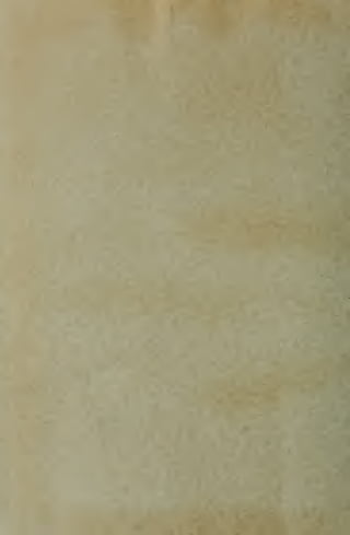 Dicionriokimbu00assiuoft