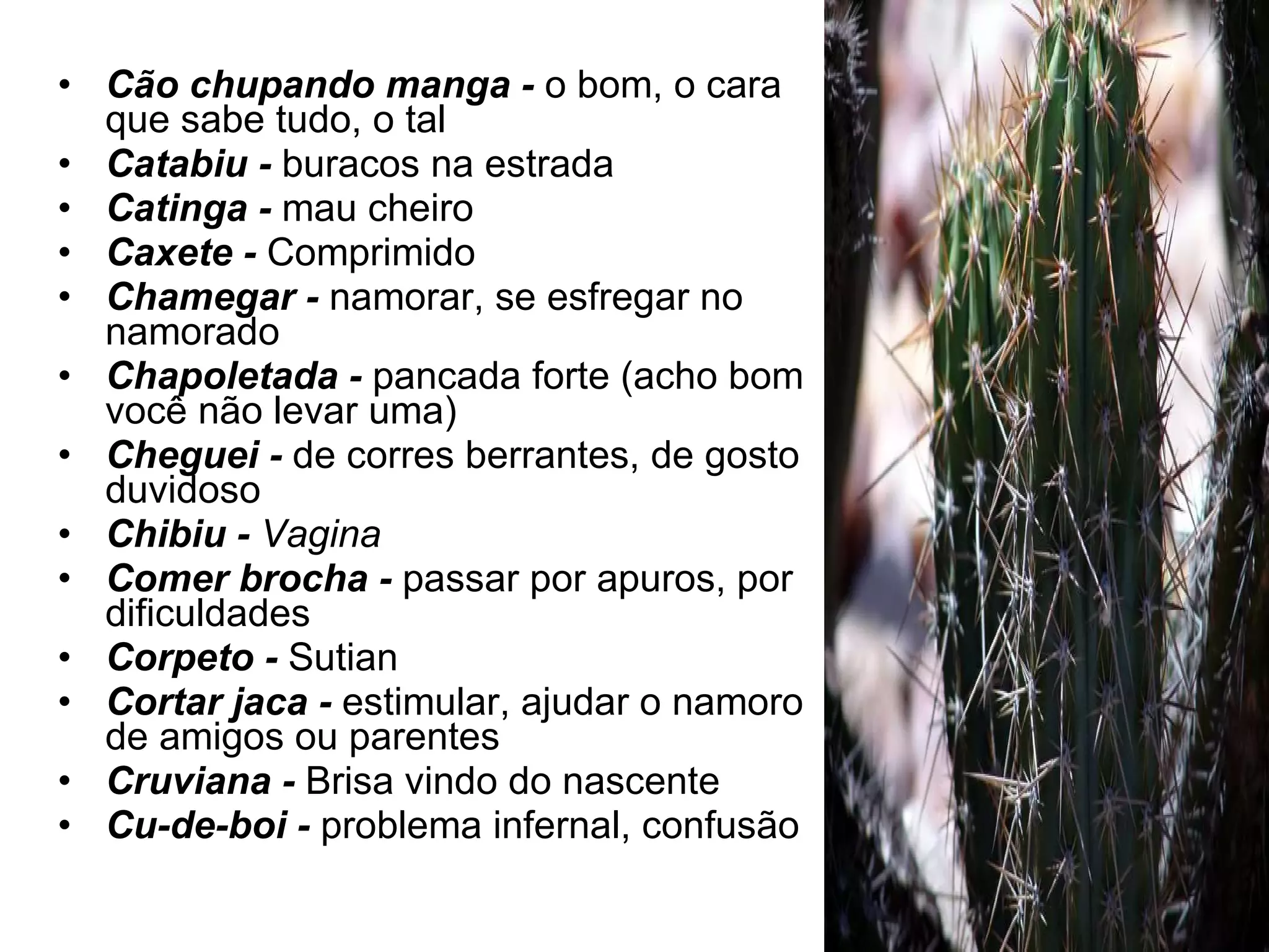 Cão chupando manga -  o bom, o cara que sabe tudo, o tal Catabiu -  buracos na estrada Catinga -  mau cheiro Caxete -  Comprimido Chamegar -  namorar, se esfregar no namorado Chapoletada -  pancada forte (acho bom você não levar uma) Cheguei -  de corres berrantes, de gosto duvidoso Chibiu -  Vagina   Comer brocha -  passar por apuros, por dificuldades Corpeto -  Sutian Cortar jaca -  estimular, ajudar o namoro de amigos ou parentes Cruviana -  Brisa vindo do nascente Cu-de-boi -  problema infernal, confusão 