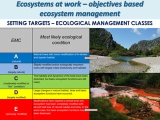 SETTING TARGETS – ECOLOGICAL MANAGEMENT CLASSES
EMC
Most likely ecological
condition
A
(natural)
Natural rivers with minor modification of in-stream
and riparian habitat
B
(largely natural)
Slightly modified and/or ecologically important
rivers with largely intact biodiversity and habitats
C
(moderately modified or
“fair” condition)
The habitats and dynamics of the biota have been
disturbed, but basic ecosystem functions are still
intact.
D
(largely modified)
Large changes in natural habitat, biota and basic
ecosystem functions have occurred.
E
(seriously modified)
Modifications have reached a critical level and
ecosystem has been completely modified with
almost total loss of natural habitat and biota. In the
worst case, the basic ecosystem functions have
been destroyed
.
 