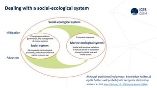 Dickey-Collas introduction to ecosystem based management EBM.pptx