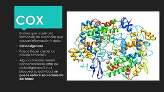 COX
• Enzima que acelera la
formación de sustancias que
causan inflamación y dolor.
• Ciclooxigenasa
• Puede hacer crecer las
células tumorales.
• Algunos tumores tienen
concentraciones altas de
ciclooxigenasa-2 y, al
bloquear su actividad, se
puede reducir el crecimiento
del tumor
 
