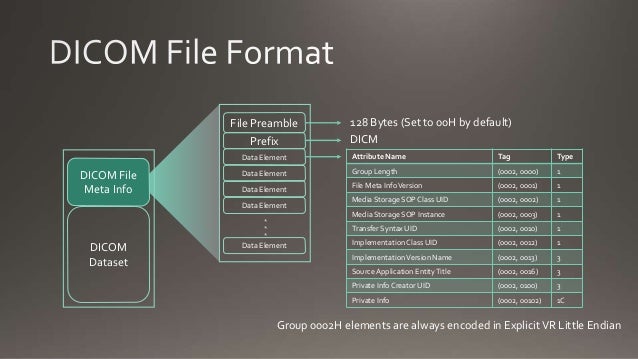imagetype dicom imagetype dicom