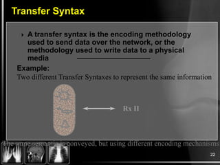DICOM Structure Basics | PPTX
