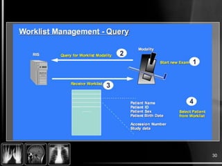 DICOM Structure Basics | PPTX