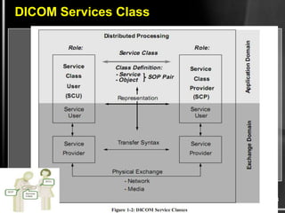 DICOM Structure Basics | PPTX
