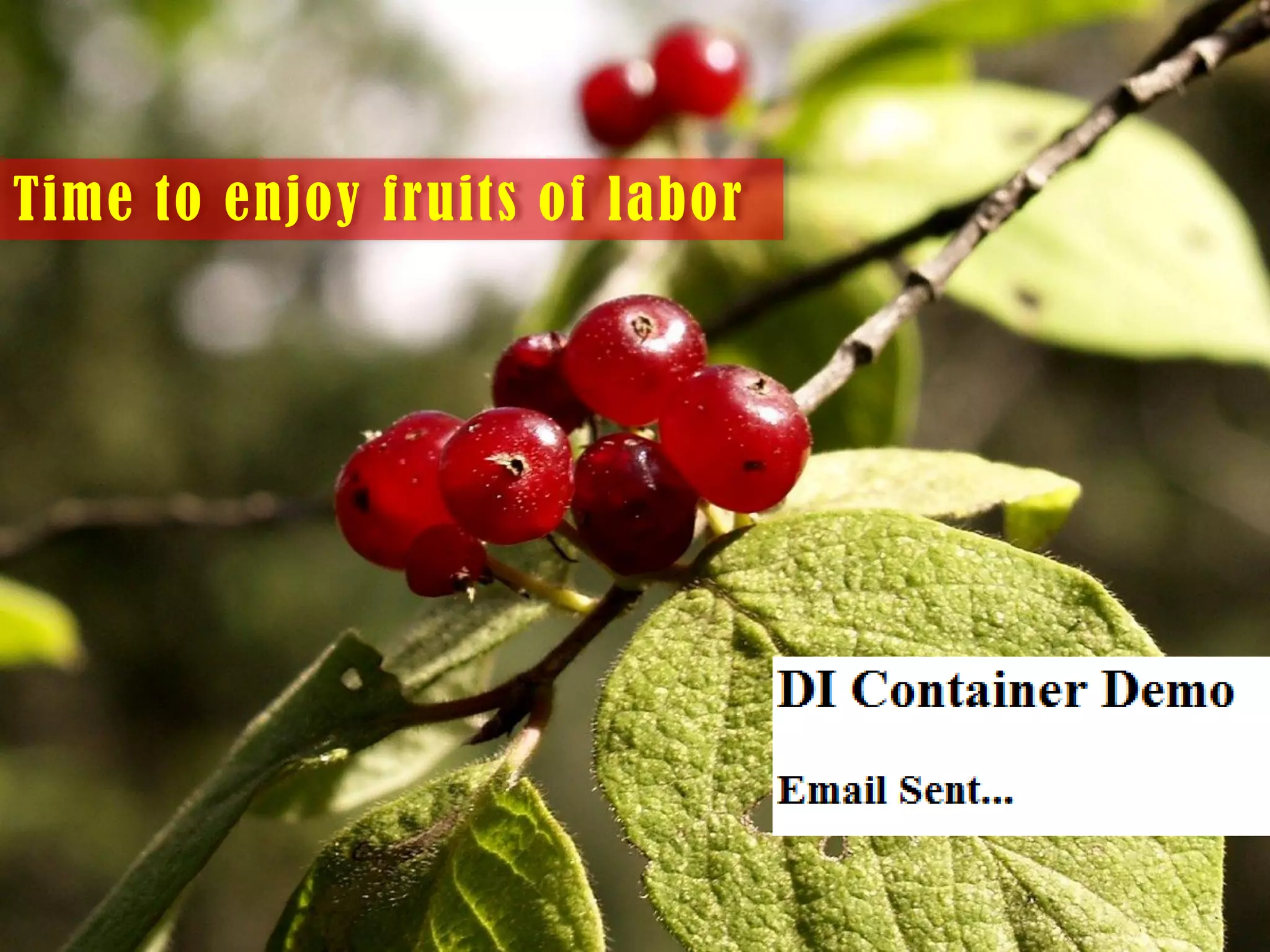 Time to enjoy fruits of labor

 