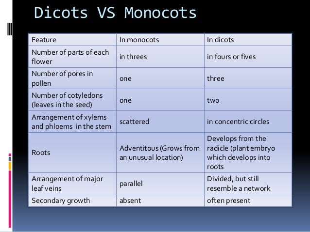 Dicotyledonous & Monocotyledonous plants