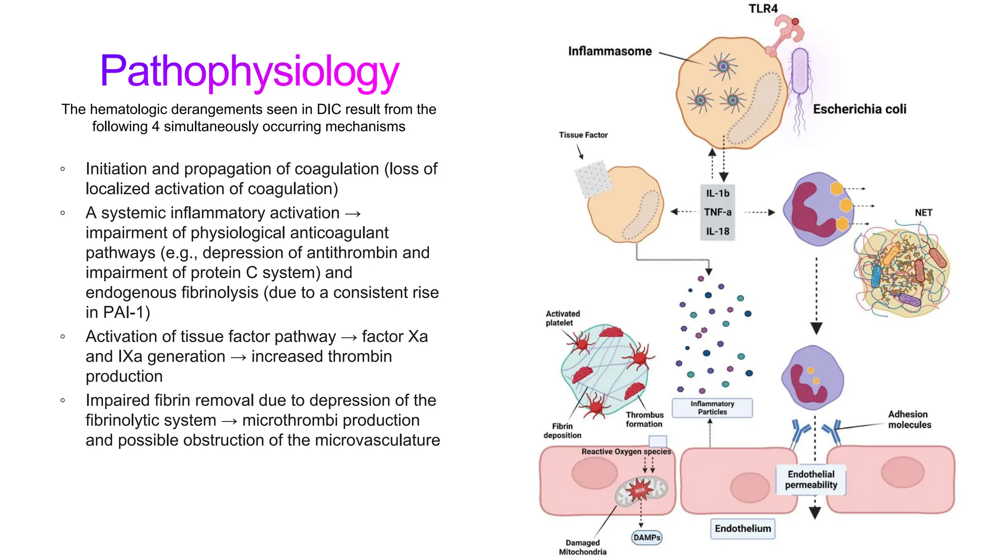 Disseminated intravascular coagulation ppt | PPTX