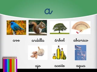 a
ave
ardilla
árbol
abanico
ajo
aceite
agua