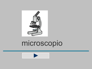 microscopio
 