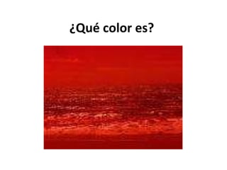 ¿Qué color es? 