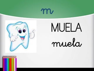 m
MUELA
muela