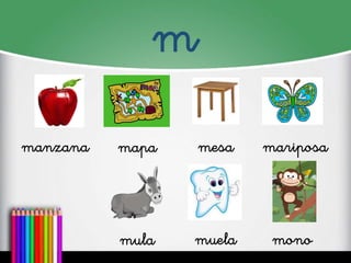 m
manzana
mapa
mesa
mariposa
mula
muela
mono