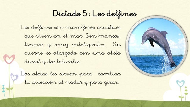 Resultado de imagen de dictados cortos