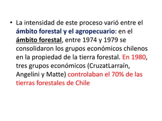 • La intensidad de este proceso varió entre el
ámbito forestal y el agropecuario: en el
ámbito forestal, entre 1974 y 1979 se
consolidaron los grupos económicos chilenos
en la propiedad de la tierra forestal. En 1980,
tres grupos económicos (CruzatLarraín,
Angelini y Matte) controlaban el 70% de las
tierras forestales de Chile
 