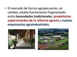 • El mercado de tierras agropecuarias, en
cambio, estaba fuertemente fragmentado
entre hacendados tradicionales, propietarios
supervivientes de la reforma agraria y nuevos
empresarios agroindustriales.
 